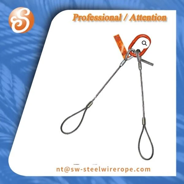Ws81-E-E Flemish Eye Wire Rope Slings