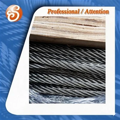 Galvanized Steel Wire Rope 6X12+FC 250m China Factory