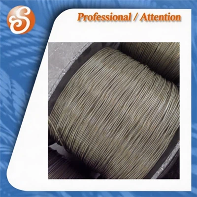 6X19+IWRC AISI Standard Stainless Steel Wire Rope 304 Customed