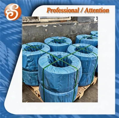 6x7 6x12 6x19 6x24 PVC PE NYLON Galvanized Steel Wire Rope