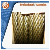 4X31ws+FC Galvanized Steel Wire Rope For Gondolas
